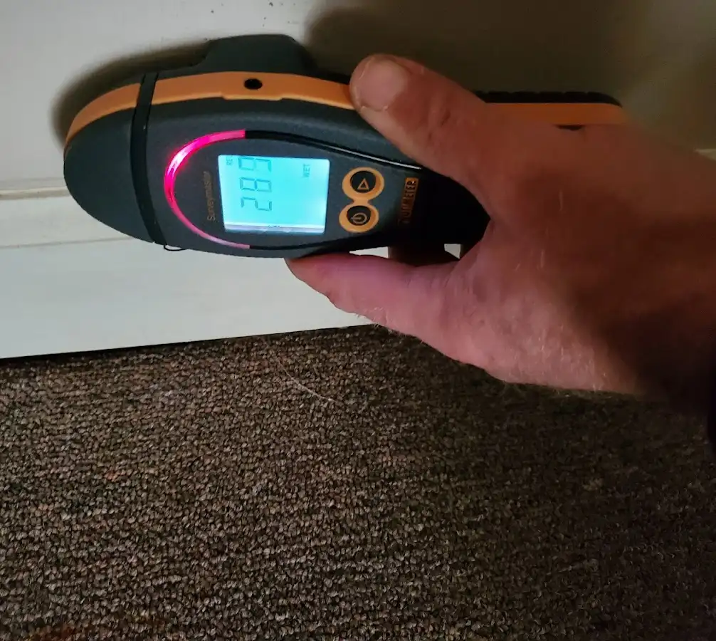 Moisture detection at baseboard during Sewage Cleanup & Sanitation in Winthrop